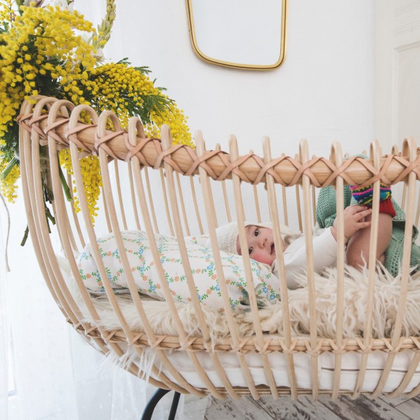 Bermbach, babysäng rotting, Lola - Image 8