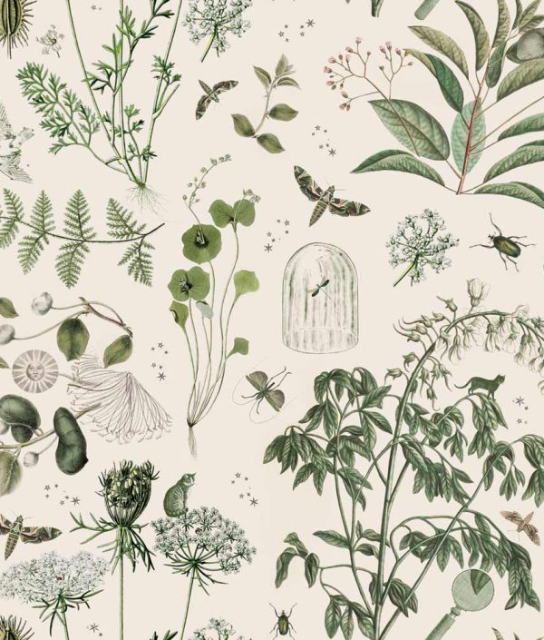 Dekornik, tapet Green Botanical Stories