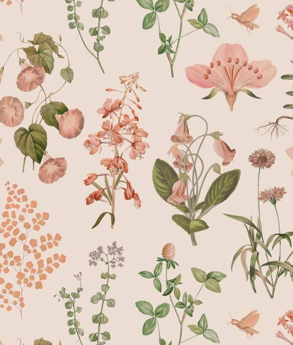 Dekornik, Tapet Wild flowers and herbs