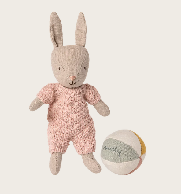 Kanin, presentset, rosa