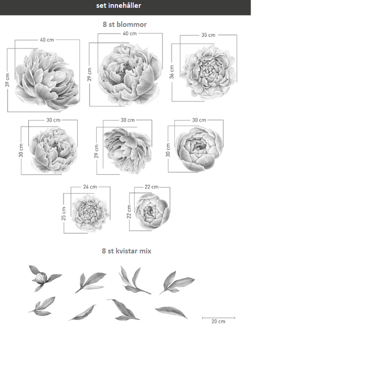 Rosa peoner veggklistremerker, veggdekorasjon L - Bilde 4