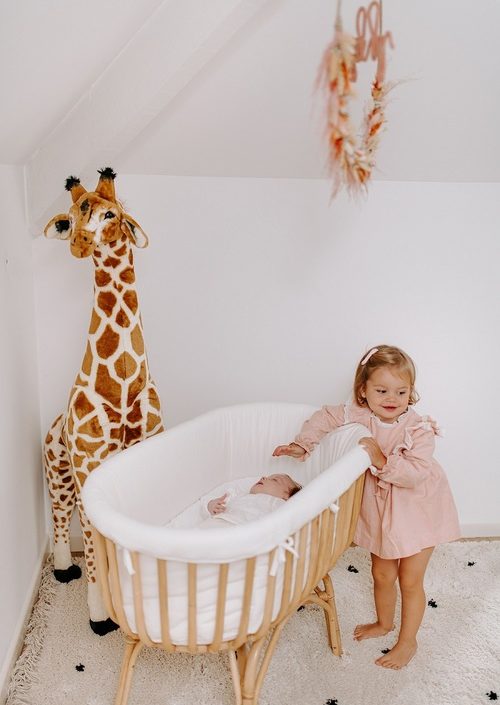 Stor giraff kramdjur