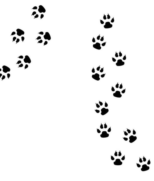 Väggklistermärken paw djurspår svart, 15 st.