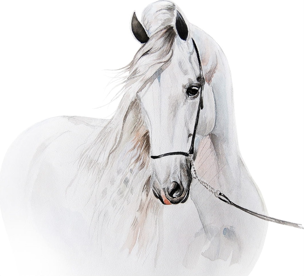 Babylove väggklistermärke, stor häst