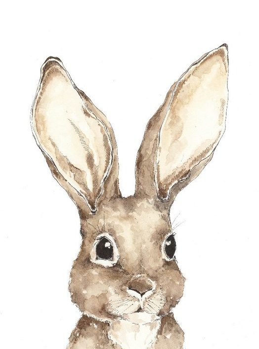 Poster Kanin, poster till barnrummet