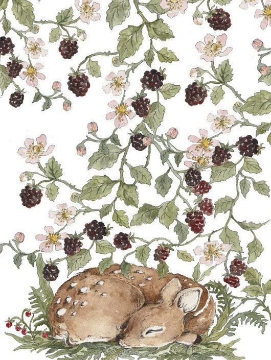 Poster sovande rådjur, poster till barnrummet