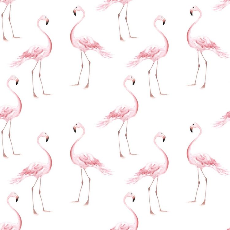 Dekornik, tapet Flamingos