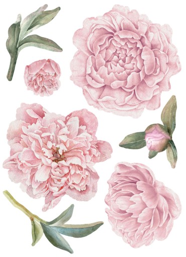 Pioner väggklistermärken, väggdekoration XL - Bild 7