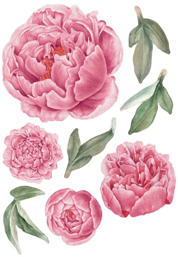 Pioner väggklistermärken, väggdekoration XL - Bild 5