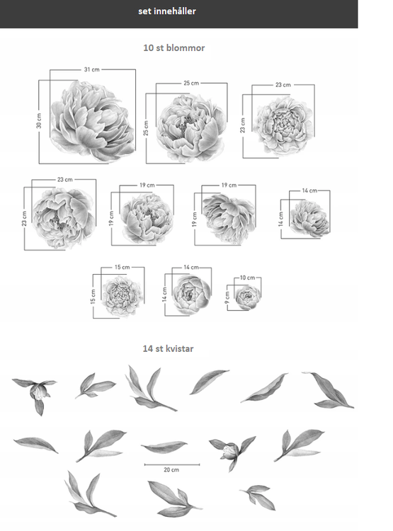 Pioner väggklistermärken, väggdekoration M - Bild 3