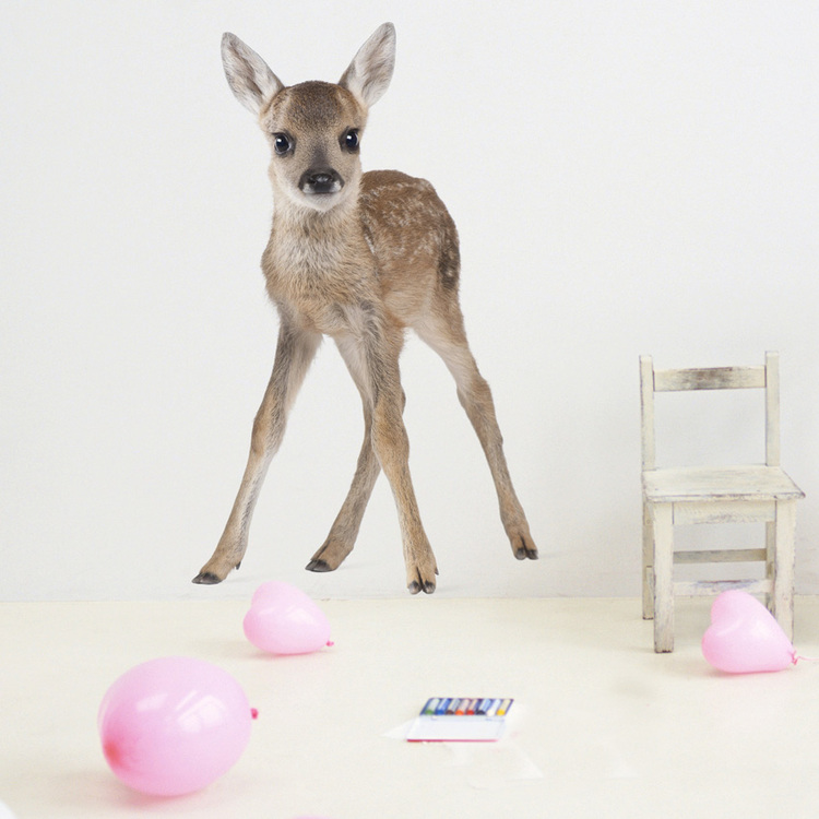 Dekornik, Lucy väggklistermärken stort rådjur