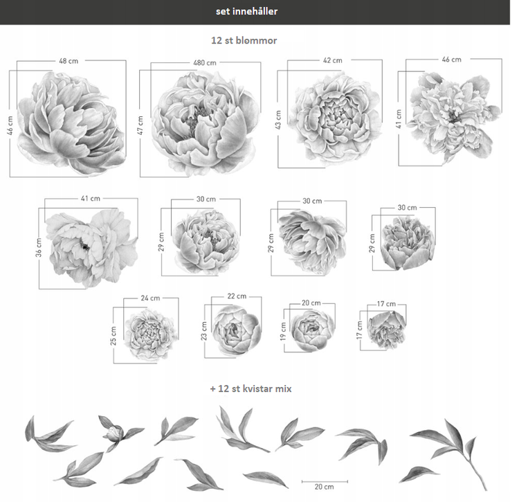 Vita pioner väggklistermärken, väggdekoration XL - Bild 7
