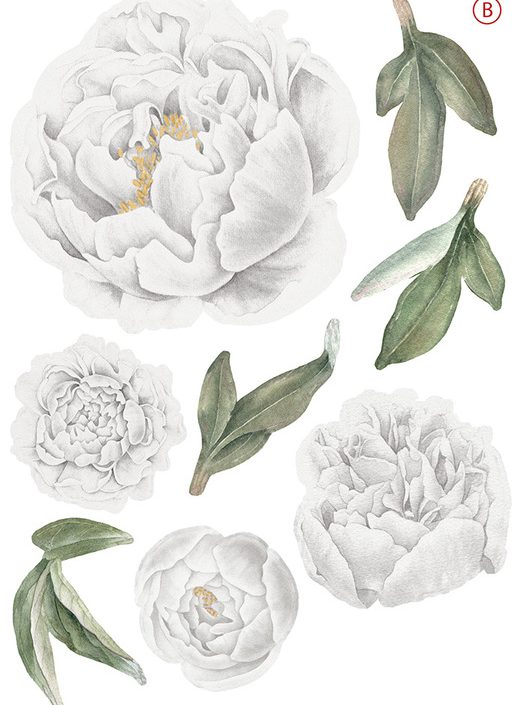 Vita pioner väggklistermärken, väggdekoration XL