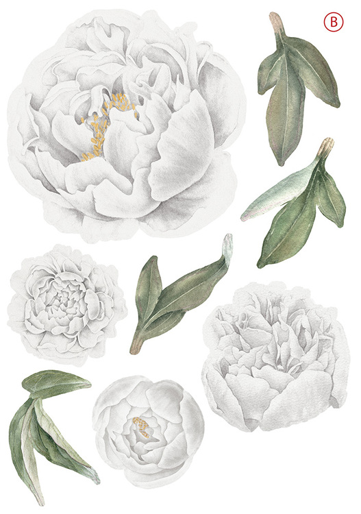 Vita pioner väggklistermärken, väggdekoration XL - Bild 2