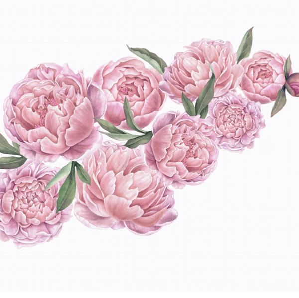 Rosa pioner väggklistermärken,  väggdekoration L