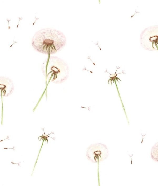 Dekornik, tapet Maskros