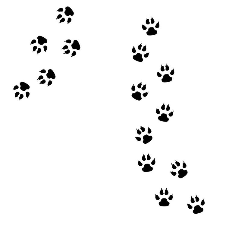 Väggklistermärken paw djurspår grå, 15 st.