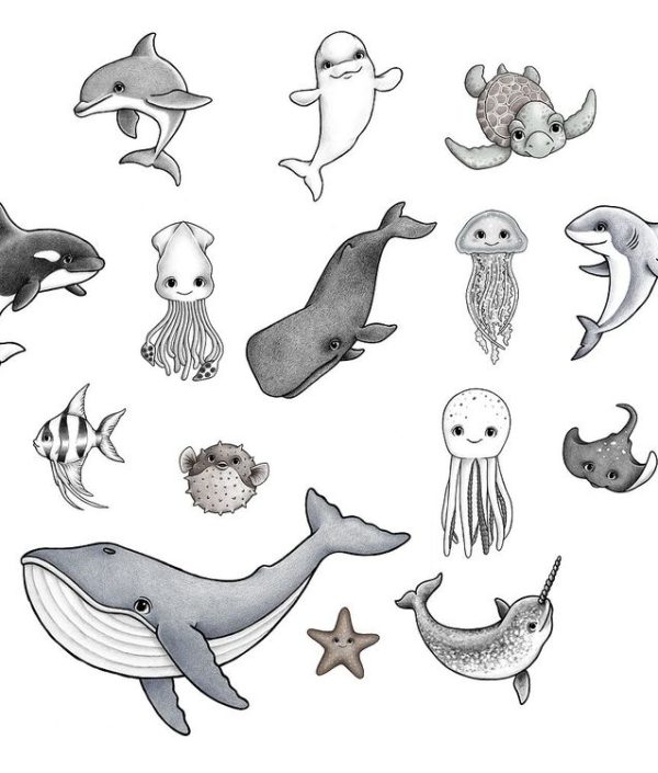 Stickstay, Ocean Friends