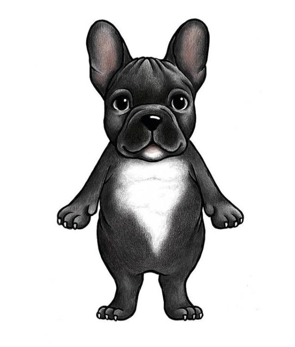 Stickstay franska bulldoggen Boss