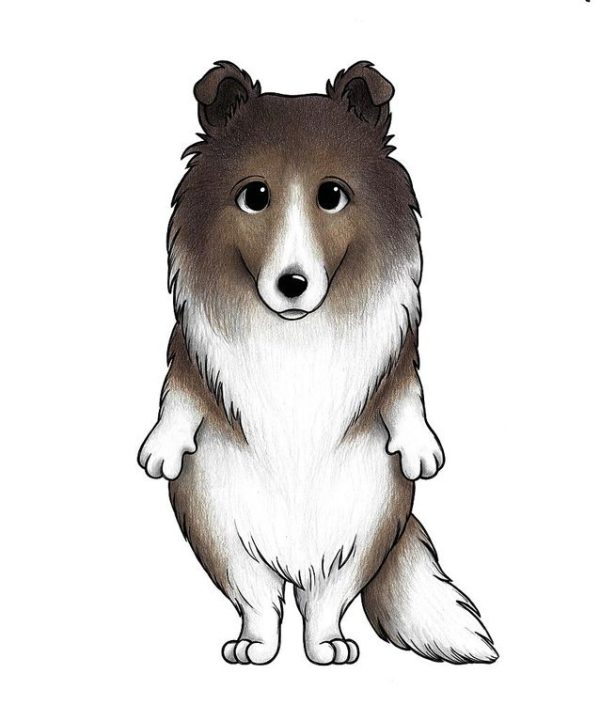 Stickstay collien Cookie