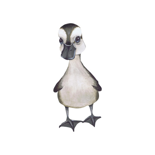 That`s mine, little duck väggklistermärke