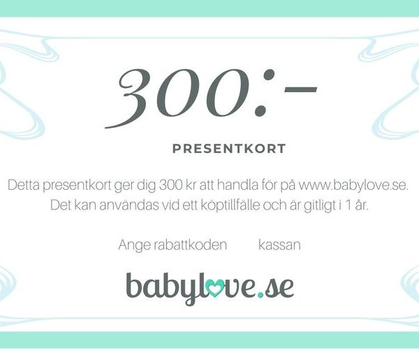 Presentkort 300 kr