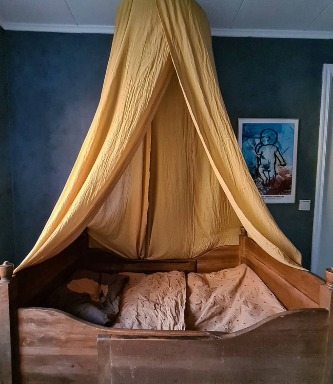 JaBaDaBaDo senapsgul sänghimmel guld med ljusslinga - Bild 4