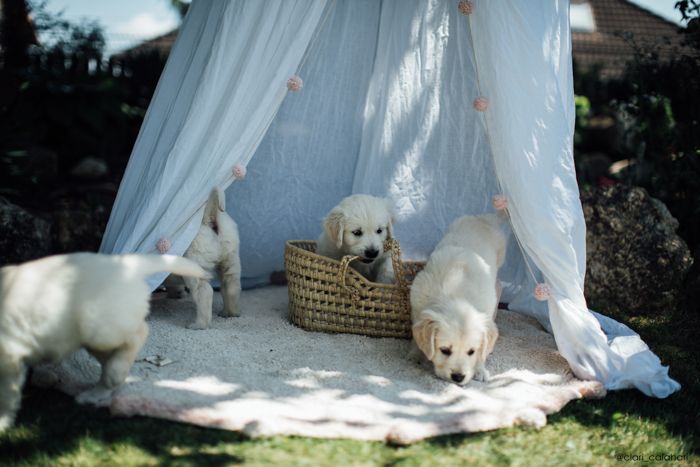 Lorena Canals matta till barnrummet, bubbly Natural vintage nude - Bild 8