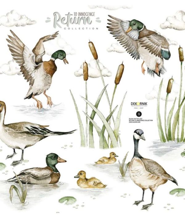 Dekornik, väggklistermärken Ducks on the Lake
