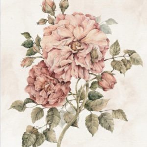 Poster vintage pioner,  poster till barnrummet