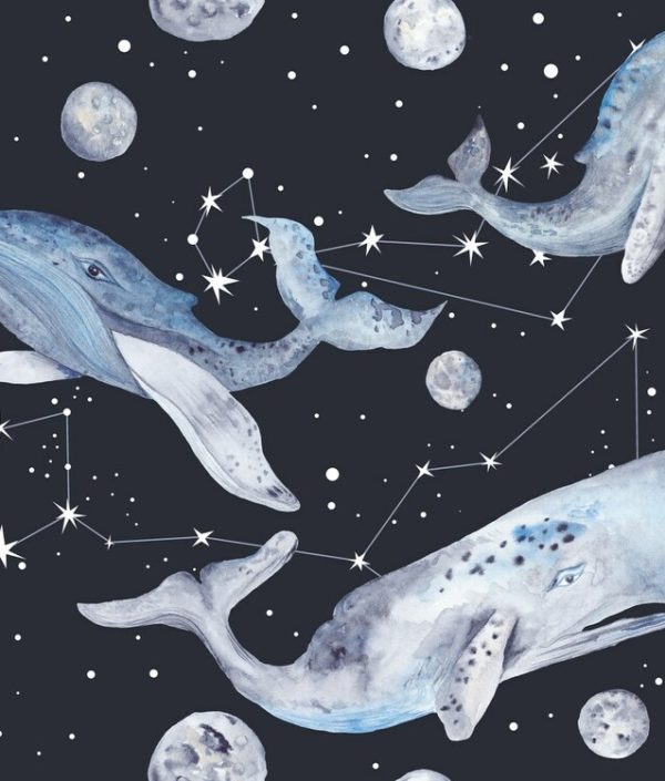 Dekorillo, tapet Cosmic fantasy