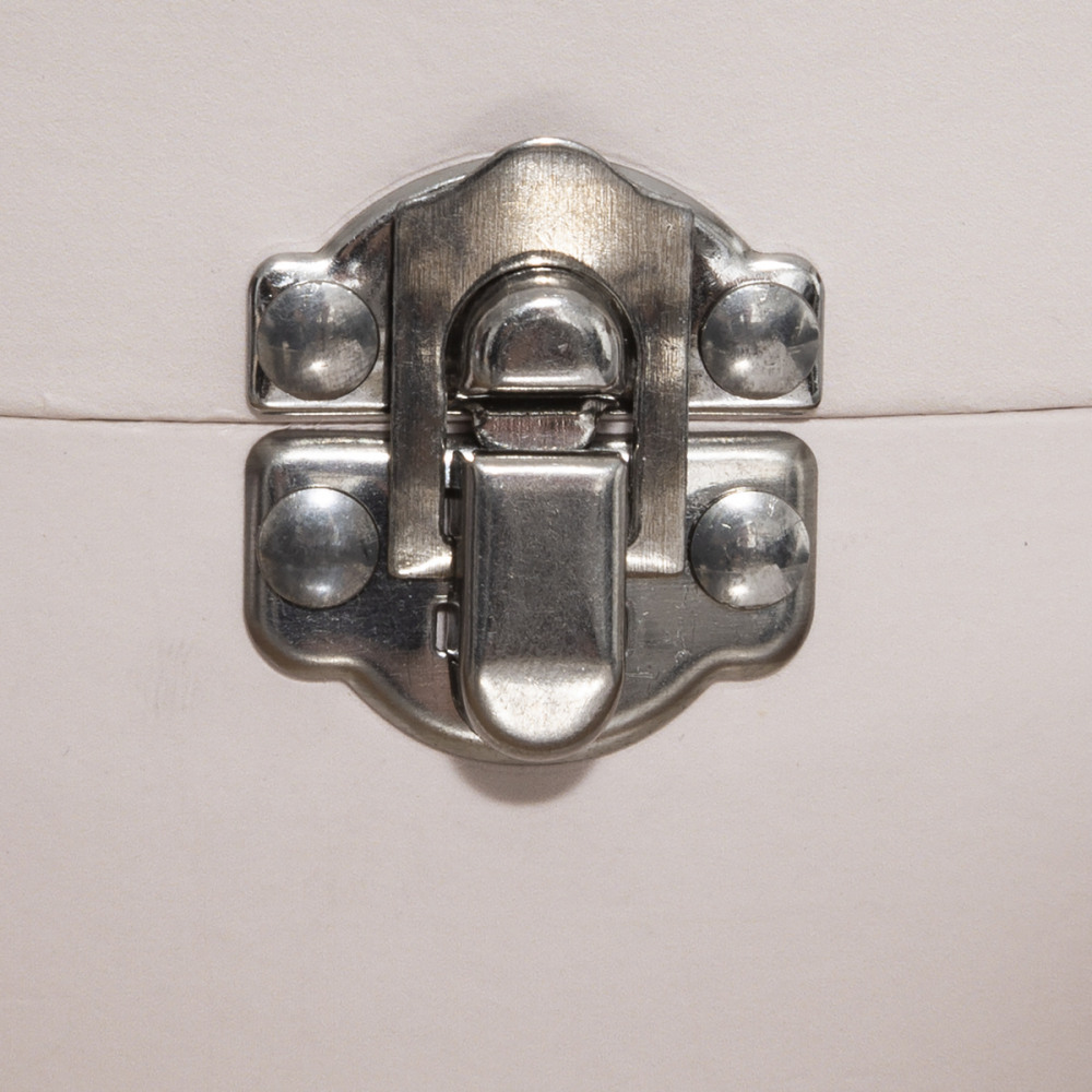 Förvaringslåda med handtag, golden ears - Bild 3