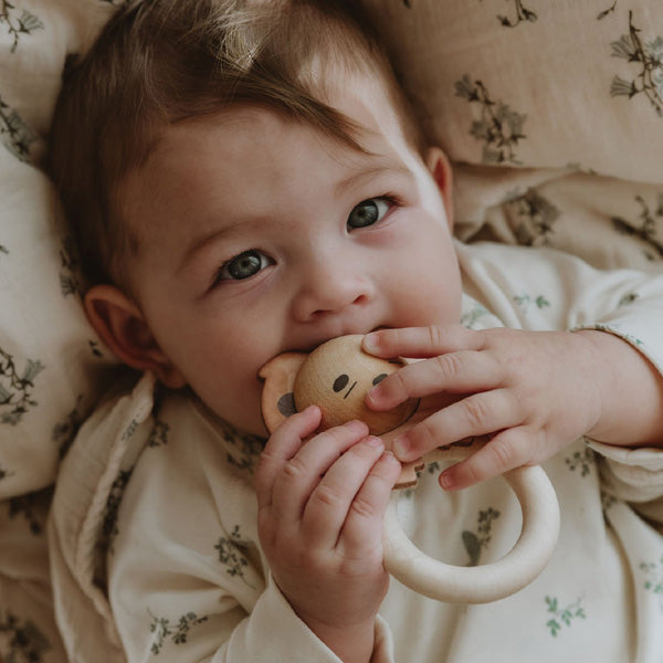 Garbo & Friends, bitleksak lejon