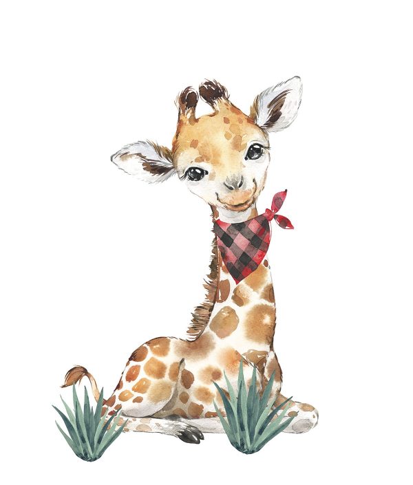 Väggklistermärke, Giraff