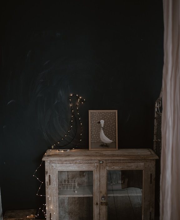 Nattlampa till barnrummet, Gås svart