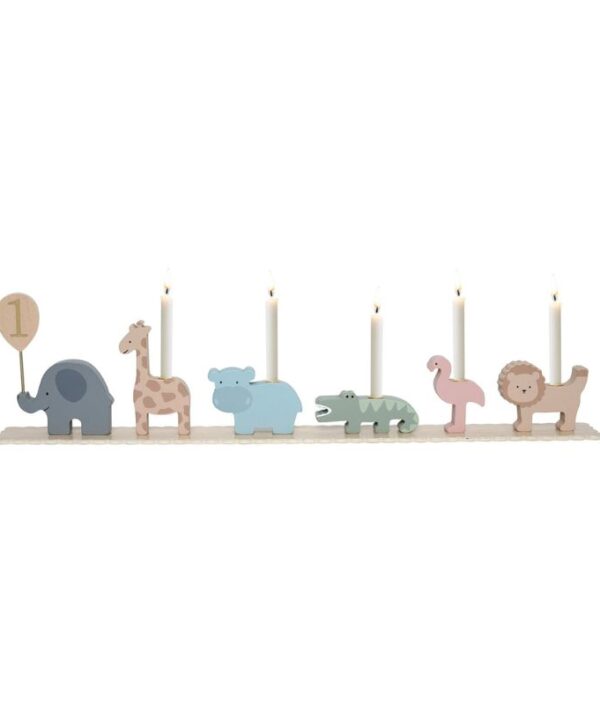 JaBaDaBaDo, Födelsedagståg safari