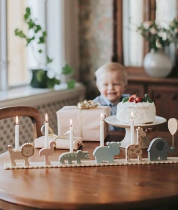 JaBaDaBaDo, Födelsedagståg safari